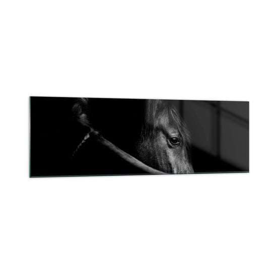 Obraz na szkle - Czarny książę - 160x50cm - Koń Zwierzę Artystyczny - Nowoczesny foto szklany obraz do salonu do sypialni ARTTOR ARTTOR
