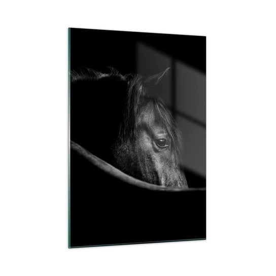 Obraz na szkle - Czarny książę - 50x70cm - Koń Zwierzę Artystyczny - Nowoczesny szklany obraz do salonu do sypialni ARTTOR ARTTOR