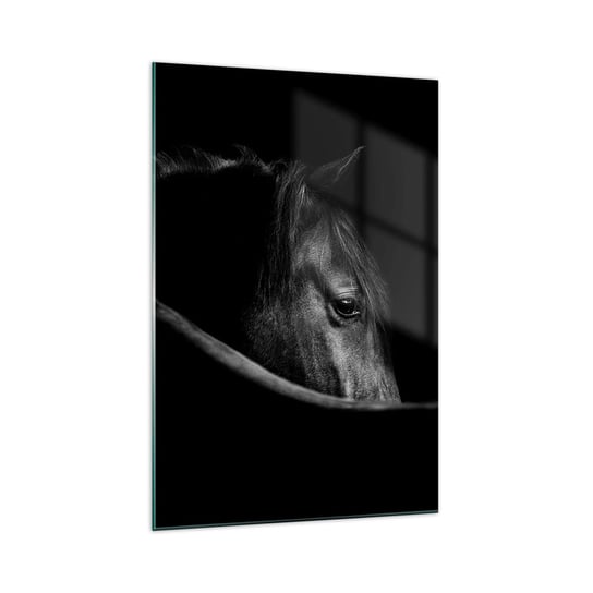 Obraz na szkle - Czarny książę - 70x100cm - Koń Zwierzę Artystyczny - Nowoczesny foto szklany obraz do salonu do sypialni ARTTOR ARTTOR
