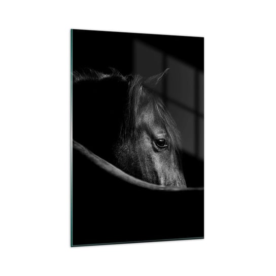 Obraz na szkle - Czarny książę - 80x120cm - Koń Zwierzę Artystyczny - Nowoczesny szklany obraz na ścianę do salonu do sypialni ARTTOR ARTTOR