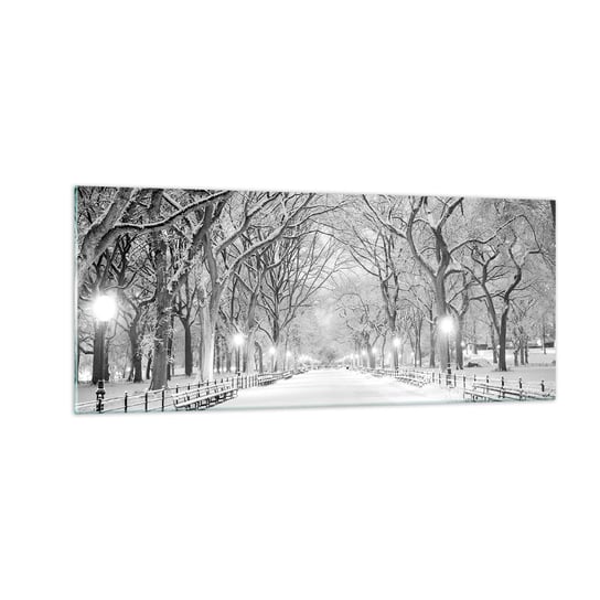 Obraz na szkle - Cztery pory roku – zima - 100x40cm - Śnieg Zima Park - Nowoczesny foto szklany obraz do salonu do sypialni ARTTOR ARTTOR