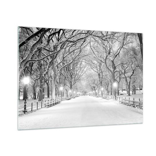 Obraz na szkle - Cztery pory roku – zima - 100x70cm - Śnieg Zima Park - Nowoczesny foto szklany obraz do salonu do sypialni ARTTOR ARTTOR