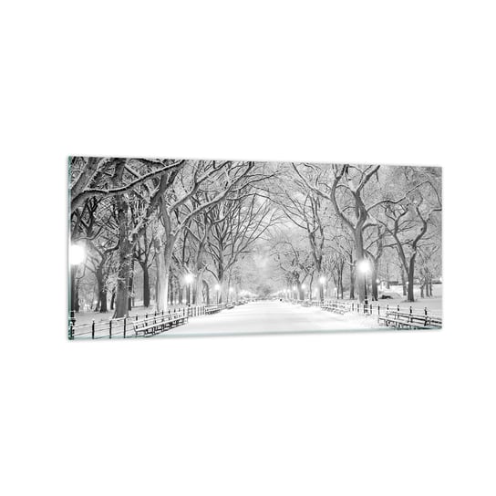 Obraz na szkle - Cztery pory roku – zima - 120x50cm - Śnieg Zima Park - Nowoczesny szklany obraz na ścianę do salonu do sypialni ARTTOR ARTTOR