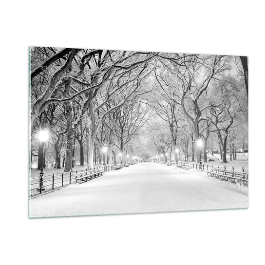 Obraz na szkle - Cztery pory roku – zima - 120x80cm - Śnieg Zima Park - Nowoczesny szklany obraz na ścianę do salonu do sypialni ARTTOR ARTTOR