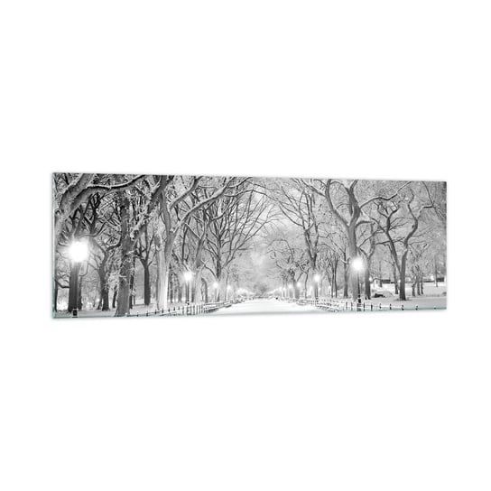Obraz na szkle - Cztery pory roku – zima - 160x50cm - Śnieg Zima Park - Nowoczesny foto szklany obraz do salonu do sypialni ARTTOR ARTTOR