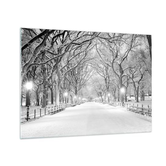 Obraz na szkle - Cztery pory roku – zima - 70x50cm - Śnieg Zima Park - Nowoczesny szklany obraz do salonu do sypialni ARTTOR ARTTOR