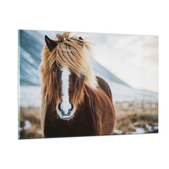 Obraz na szkle - Czujesz wolność? - 120x80cm - Koń Natura Zwierzęta - Nowoczesny szklany obraz na ścianę do salonu do sypialni ARTTOR ARTTOR