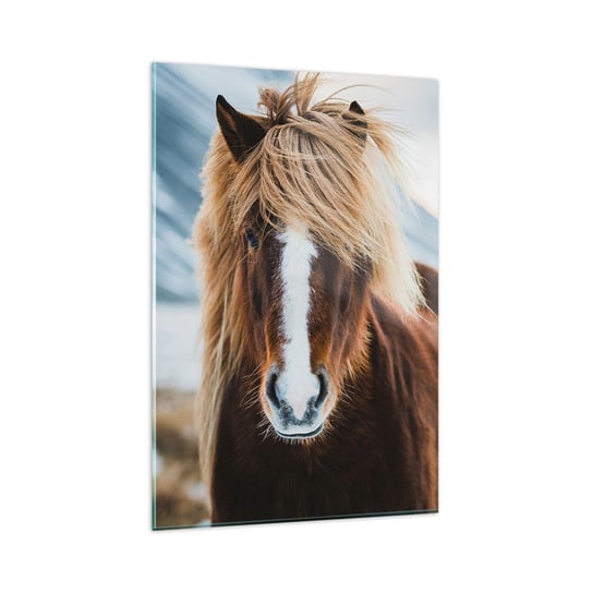 Obraz na szkle - Czujesz wolność? - 80x120cm - Koń Natura Zwierzęta - Nowoczesny szklany obraz na ścianę do salonu do sypialni ARTTOR ARTTOR