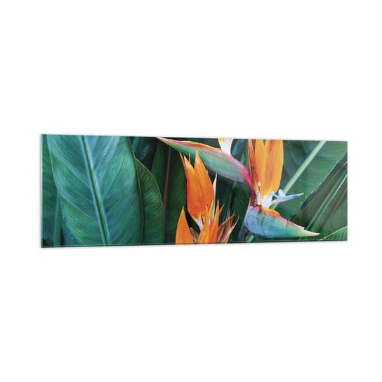 Obraz na szkle - Czy to kwiat, czy to ptak? - 160x50cm - Strelicja Królewska Kwiat Afryka - Nowoczesny foto szklany obraz do salonu do sypialni ARTTOR ARTTOR
