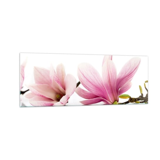 Obraz na szkle - Delikatne jak powiew wiosny - 140x50cm - Kwiat Magnolia Natura - Nowoczesny szklany obraz do salonu do sypialni ARTTOR ARTTOR