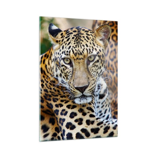 Obraz na szkle - Dziki i spokojny - 50x70cm - Zwierzęta Lampart Afryka - Nowoczesny szklany obraz do salonu do sypialni ARTTOR ARTTOR