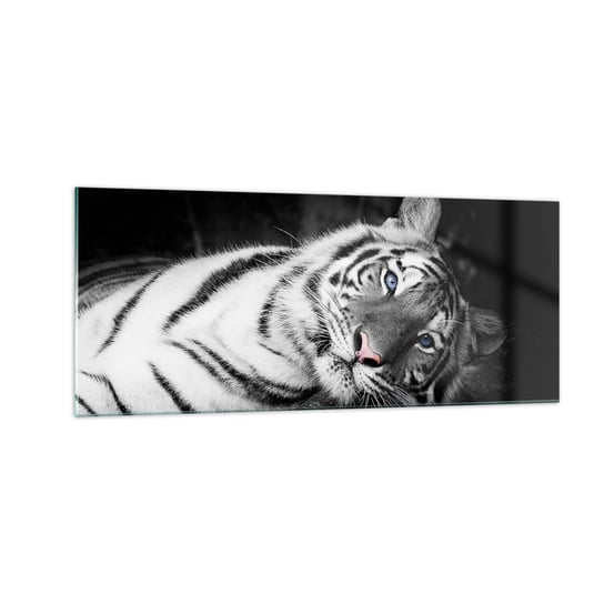 Obraz na szkle - Dzikość i spokój - 100x40cm - Tygrys Biały Tygrys Zwierzęta - Nowoczesny foto szklany obraz do salonu do sypialni ARTTOR ARTTOR