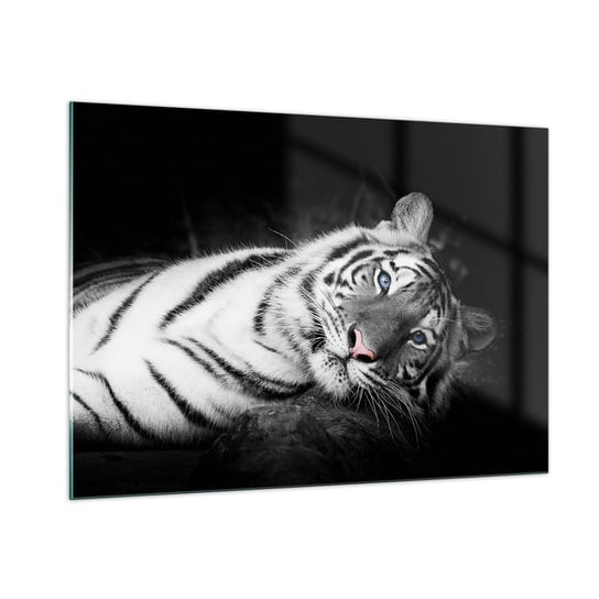 Obraz na szkle - Dzikość i spokój - 100x70cm - Tygrys Biały Tygrys Zwierzęta - Nowoczesny foto szklany obraz do salonu do sypialni ARTTOR ARTTOR