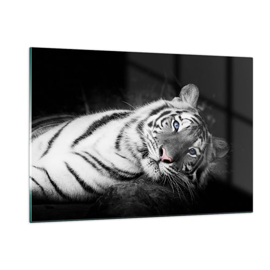 Obraz na szkle - Dzikość i spokój - 120x80cm - Tygrys Biały Tygrys Zwierzęta - Nowoczesny szklany obraz na ścianę do salonu do sypialni ARTTOR ARTTOR