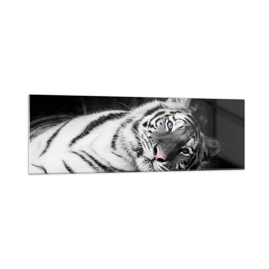 Obraz na szkle - Dzikość i spokój - 160x50cm - Tygrys Biały Tygrys Zwierzęta - Nowoczesny foto szklany obraz do salonu do sypialni ARTTOR ARTTOR