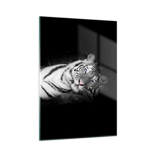 Obraz na szkle - Dzikość i spokój - 50x70cm - Tygrys Biały Tygrys Zwierzęta - Nowoczesny szklany obraz do salonu do sypialni ARTTOR ARTTOR