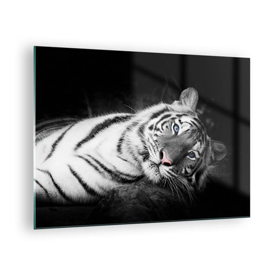 Obraz na szkle - Dzikość i spokój - 70x50cm - Tygrys Biały Tygrys Zwierzęta - Nowoczesny szklany obraz do salonu do sypialni ARTTOR ARTTOR