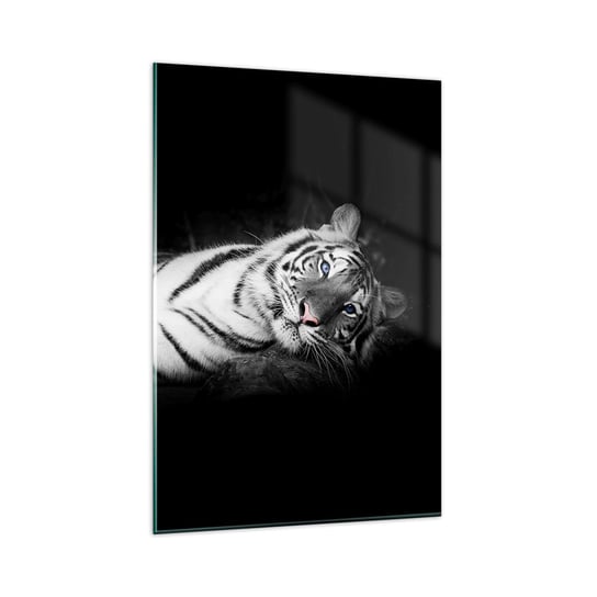 Obraz na szkle - Dzikość i spokój - 80x120cm - Tygrys Biały Tygrys Zwierzęta - Nowoczesny szklany obraz na ścianę do salonu do sypialni ARTTOR ARTTOR