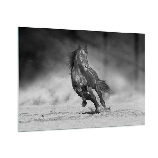 Obraz na szkle - Godny samego emira - 100x70cm - Koń Zwierzęta Natura - Nowoczesny foto szklany obraz do salonu do sypialni ARTTOR ARTTOR