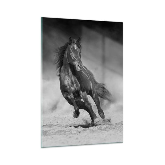 Obraz na szkle - Godny samego emira - 50x70cm - Koń Zwierzęta Natura - Nowoczesny szklany obraz do salonu do sypialni ARTTOR ARTTOR