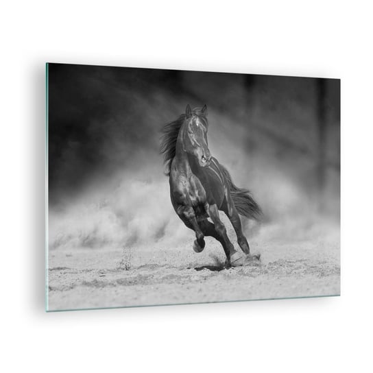Obraz na szkle - Godny samego emira - 70x50cm - Koń Zwierzęta Natura - Nowoczesny szklany obraz do salonu do sypialni ARTTOR ARTTOR