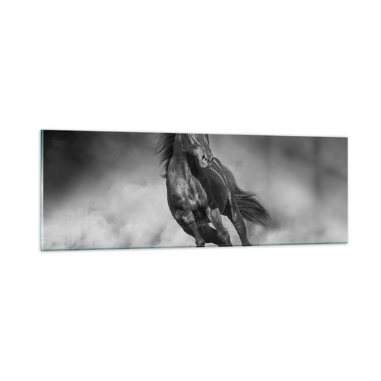 Obraz na szkle - Godny samego emira - 90x30cm - Koń Zwierzęta Natura - Nowoczesny szklany obraz do salonu do sypialni ARTTOR ARTTOR