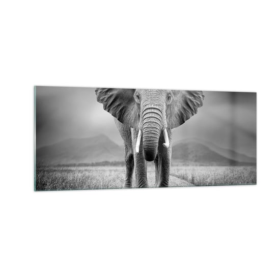 Obraz na szkle - Gospodarz wita - 100x40cm - Słoń Zwierzęta Krajobraz - Nowoczesny foto szklany obraz do salonu do sypialni ARTTOR ARTTOR