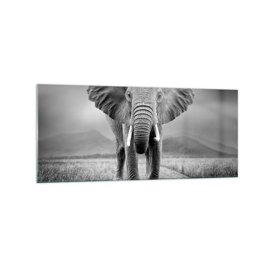 Obraz na szkle - Gospodarz wita - 120x50cm - Słoń Zwierzęta Krajobraz - Nowoczesny szklany obraz na ścianę do salonu do sypialni ARTTOR ARTTOR