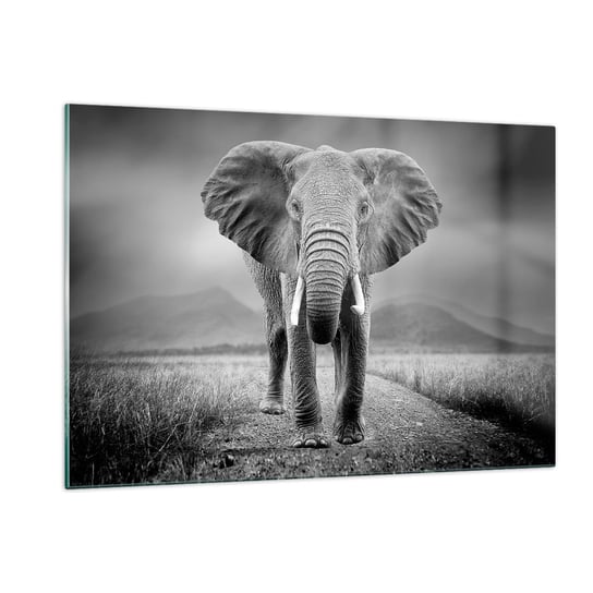 Obraz na szkle - Gospodarz wita - 120x80cm - Słoń Zwierzęta Krajobraz - Nowoczesny szklany obraz na ścianę do salonu do sypialni ARTTOR ARTTOR