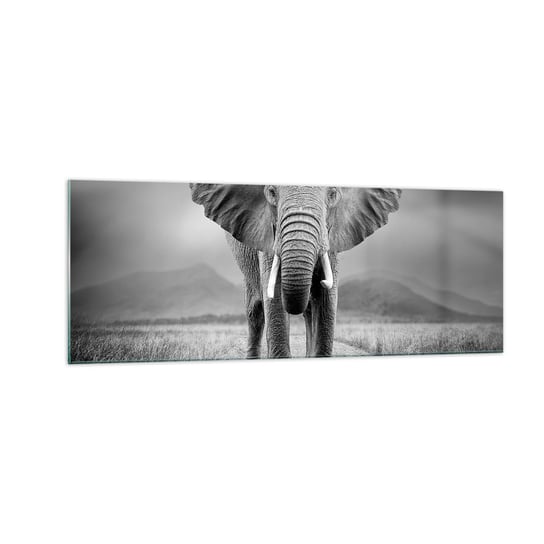 Obraz na szkle - Gospodarz wita - 140x50cm - Słoń Zwierzęta Krajobraz - Nowoczesny szklany obraz do salonu do sypialni ARTTOR ARTTOR