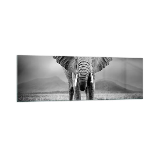 Obraz na szkle - Gospodarz wita - 160x50cm - Słoń Zwierzęta Krajobraz - Nowoczesny foto szklany obraz do salonu do sypialni ARTTOR ARTTOR