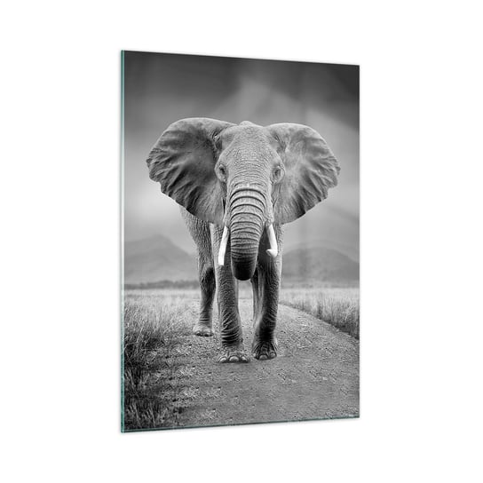 Obraz na szkle - Gospodarz wita - 50x70cm - Słoń Zwierzęta Krajobraz - Nowoczesny szklany obraz do salonu do sypialni ARTTOR ARTTOR