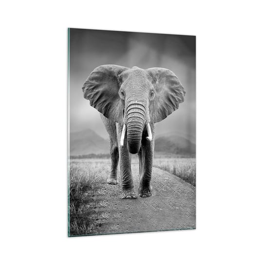 Obraz na szkle - Gospodarz wita - 80x120cm - Słoń Zwierzęta Krajobraz - Nowoczesny szklany obraz na ścianę do salonu do sypialni ARTTOR ARTTOR