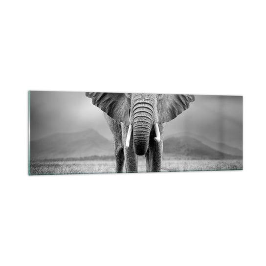 Obraz na szkle - Gospodarz wita - 90x30cm - Słoń Zwierzęta Krajobraz - Nowoczesny szklany obraz do salonu do sypialni ARTTOR ARTTOR