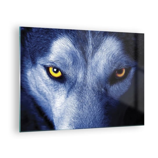 Obraz na szkle - Hipnotyzujące spojrzenie - 70x50cm - Zwierzęta Wilk Oczy - Nowoczesny szklany obraz do salonu do sypialni ARTTOR ARTTOR