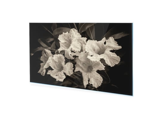 Obraz Na Szkle Homeprint Białe Kwiaty Ogrodowe 125X50 Cm HOMEPRINT