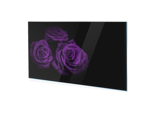 Obraz na szkle HOMEPRINT Bukiet fioletowych róż 100x50 cm HOMEPRINT