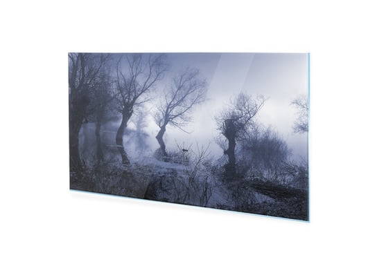 Obraz na szkle HOMEPRINT Ciemne bagno jesienią 125x50 cm HOMEPRINT