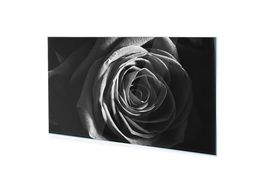 Obraz na szkle HOMEPRINT Czarno biała róża 100x50 cm HOMEPRINT