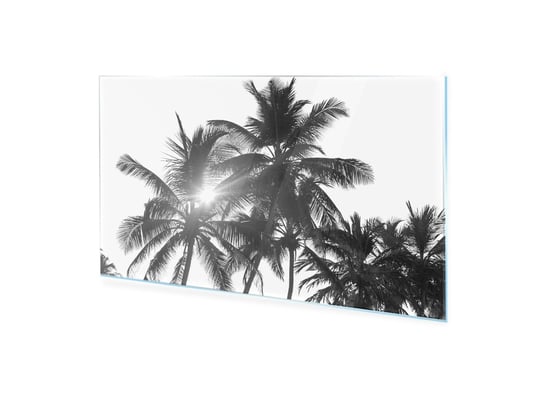 Obraz Na Szkle Homeprint Czarno-Białe Palmy Kokosowe 100X50 Cm HOMEPRINT