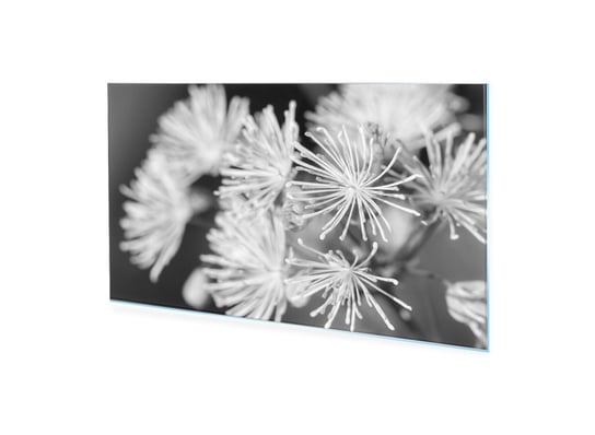 Obraz Na Szkle Homeprint Czarno-Biały Kwiat 100X50 Cm HOMEPRINT