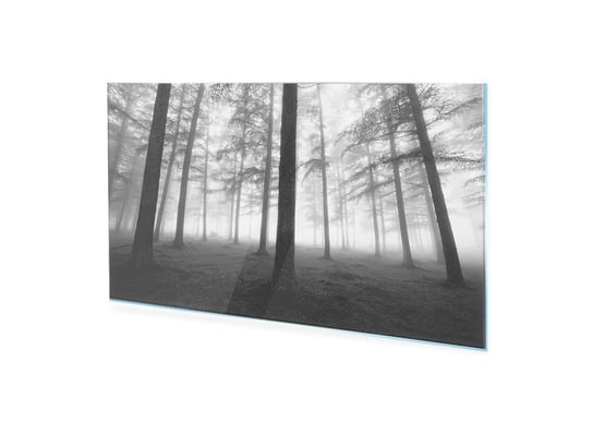 Obraz na szkle HOMEPRINT Czarno biały las we mgle 125x50 cm HOMEPRINT