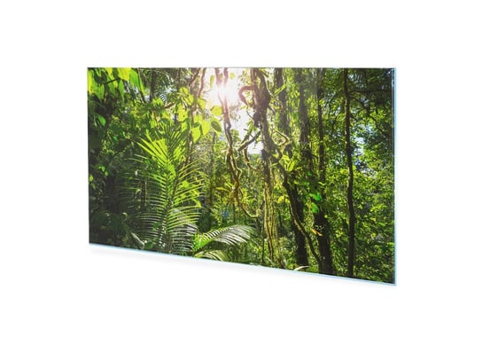 Obraz Na Szkle Homeprint Dżungla W Kostaryce 125X50 Cm HOMEPRINT