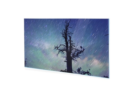 Obraz Na Szkle Homeprint Gwiazdy Na Niebie Z Drzewem 120X60 Cm HOMEPRINT