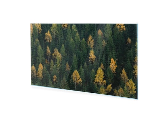 Obraz Na Szkle Homeprint Jesienna Scena Leśna Z Drzew 120X60 Cm HOMEPRINT