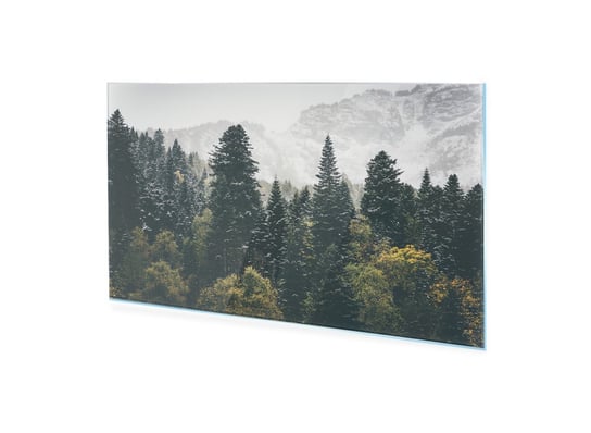 Obraz na szkle HOMEPRINT Jesienny las iglasty 125x50 cm HOMEPRINT
