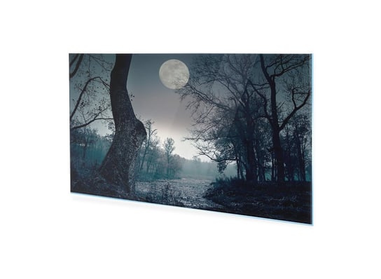 Obraz na szkle HOMEPRINT Pełnia księżyca w lesie 125x50 cm HOMEPRINT