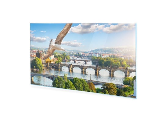 Obraz Na Szkle Homeprint Rząd Mostów W Pradze, Mewa 125X50 Cm HOMEPRINT