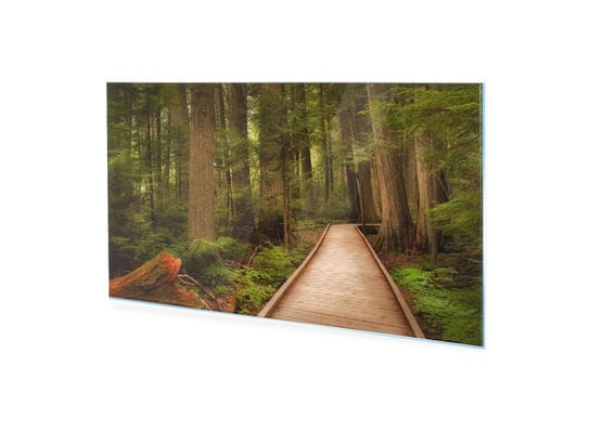 Obraz Na Szkle Homeprint Szlak W Parku Narodowym, Usa 125X50 Cm HOMEPRINT
