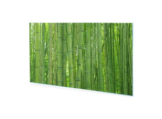 Obraz Na Szkle Homeprint Zielony Las Bambusowy 120X60 Cm HOMEPRINT